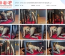 悦感日记 定拍小美狗笼囚禁强制炮J滴蜡多时间囚禁全程惨叫直接虚脱【841MB】